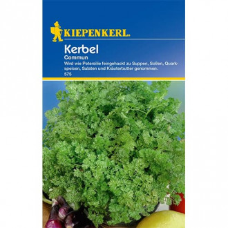 Див керевиз Commun изображение 3