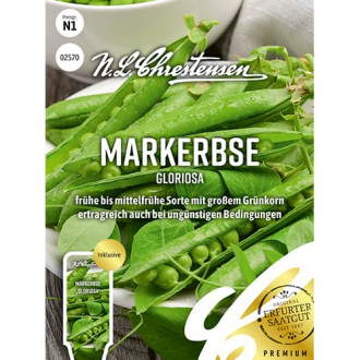 Грах Gloriosa изображение 5