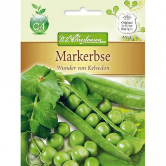 Грах Wunder von Kelvedon изображение 2