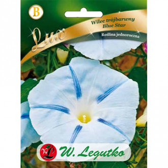 Грамофонче Blue Star Legutko изображение 10