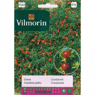 Granat, nasiona Vilmorin interface.image 5