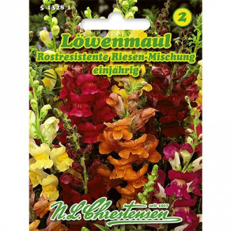 Gura leului gigant, mix multicolor imagine 1