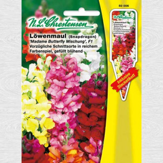 Gura leului Madame Butterfly F1, mix multicolor imagine 1