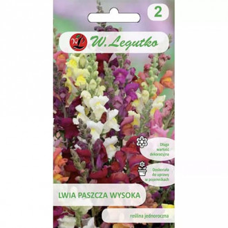 Gura leului, mix multicolor imagine 6