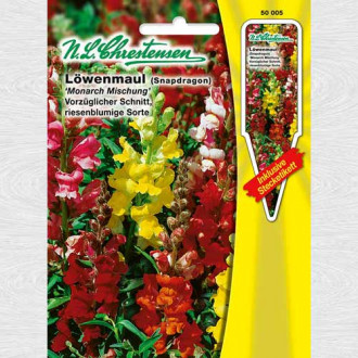 Gura leului pitică Monarch, mix multicolor imagine 2