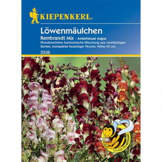 Gura leului Rembrandt imagine 10