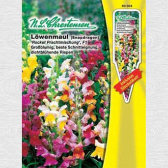 Gura leului Rocket F1, mix multicolor imagine 3