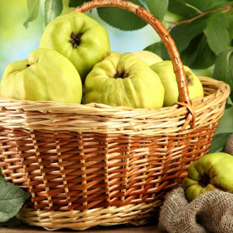 Gutui Smyrni imagine 6