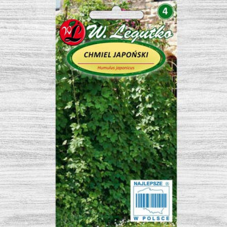 Hamei japonez imagine 2