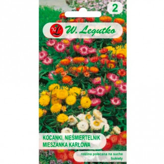 Хелихризум (Безсмъртниче) Tom Thumb, смес Legutko изображение 4