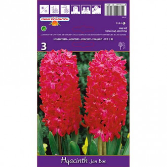 Hiacynt Jan Bos interface.image 3