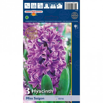 Hiacynt Miss Saigon interface.image 10