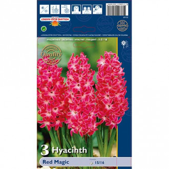 Hiacynt Red Magic interface.image 13