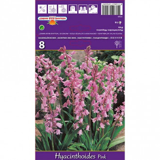 Hiacyntowiec hiszpański Pink interface.image 5