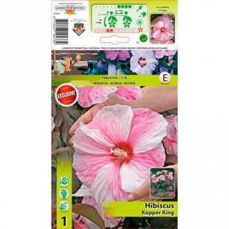 Hibiskus Kopper King interface.image 9
