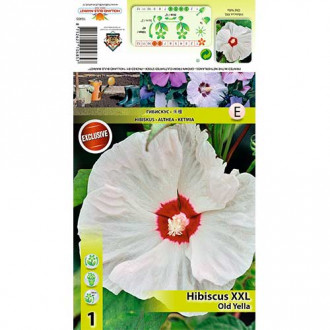 Hibiskus bylinowy XXL Old Yella interface.image 7