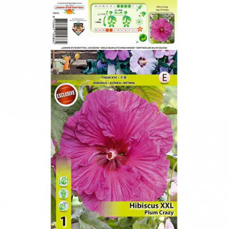 Hibiskus bylinowy XXL Plum Crazy interface.image 6