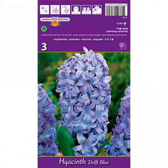 Zambile Delft Blue imagine 7