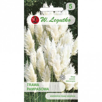 Iarbă de pampas albă imagine 2