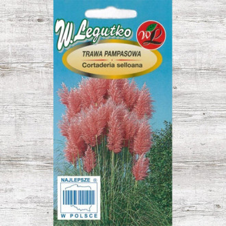 Iarbă de pampas roz Legutko imagine 1