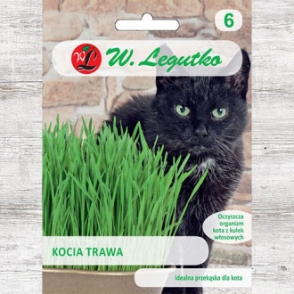 Iarba mâței Legutko imagine 3