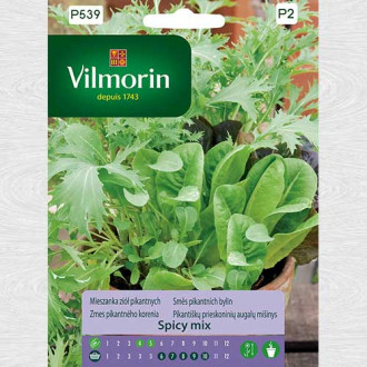 Ierburi picante, amestec imagine 18