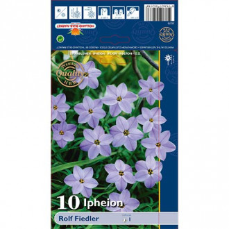 Ifejon (Ipheion) Rolf Fiedler interface.image 1