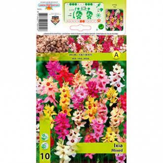 Иксия Mixed изображение 7