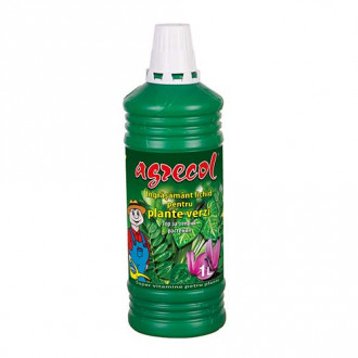 Îngrășământ lichid pentru plante verzi imagine 5