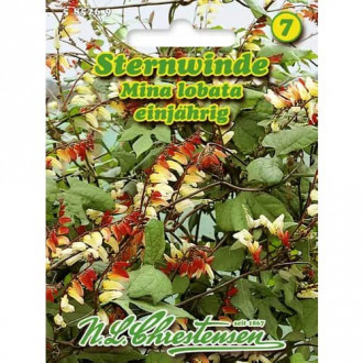 Ипомея лобата изображение 1