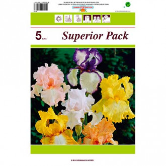 Iris Germanica (Stânjenel), mix multicolor imagine 10