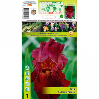 Iris germanica (Stânjenel) Sultan's Palace imagine 3