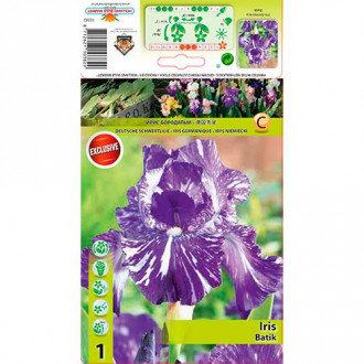 Ирис германика Batik изображение 8