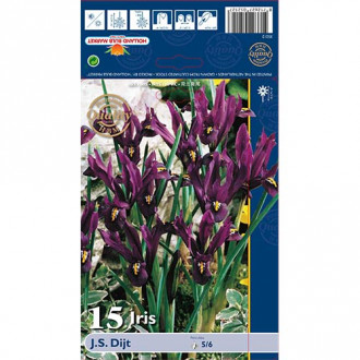 Ирис J.S. Dijt изображение 11