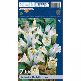 Ирис Katharine Hodgkin изображение 12