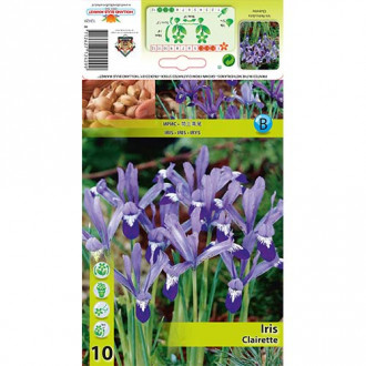 Irys żyłkowany Clairette interface.image 5