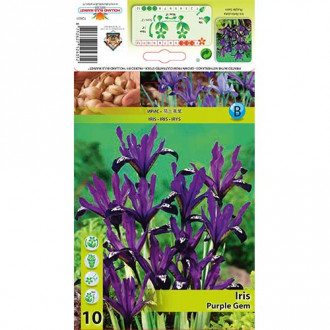 Irys żyłkowany Purple Gem interface.image 17