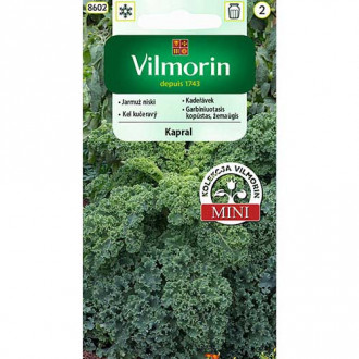 Jarmuż Kapral niski Vilmorin interface.image 8