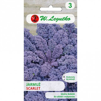 Kapusta jarmuz Scarlet interface.image 7