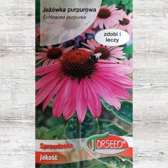 Jeżówka purpurowa, nasiona interface.image 8