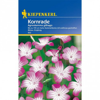 Kakol (Agrostemma) Kornrade interface.image 1