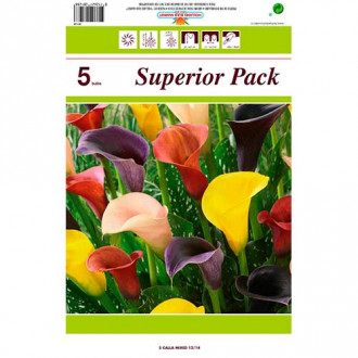 Кала Mixed изображение 17