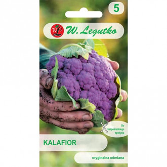 Kapusta kalafior Di Sicilia Violetto interface.image 3