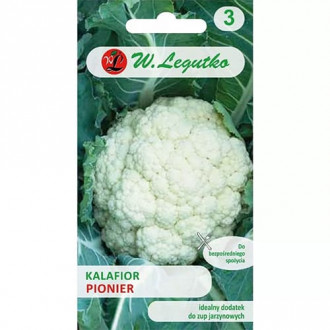 Kapusta kalafior Pionier interface.image 4