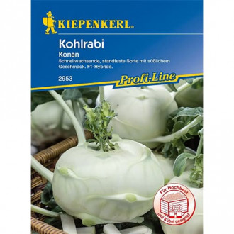 Kapusta kalarepa Konan interface.image 2