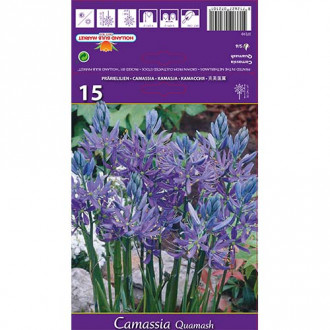 Камасия Quamash изображение 1