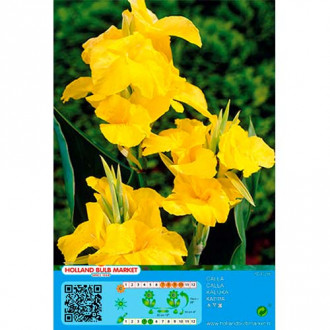 Kanna Yellow interface.image 4