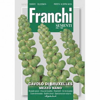 Kapusta brukselska de Bruxelles Mezzo Nano Morami interface.image 12