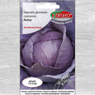 Kapusta głowiasta czerwona Rufus interface.image 5
