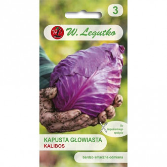Kapusta czerwona Kalibos interface.image 17